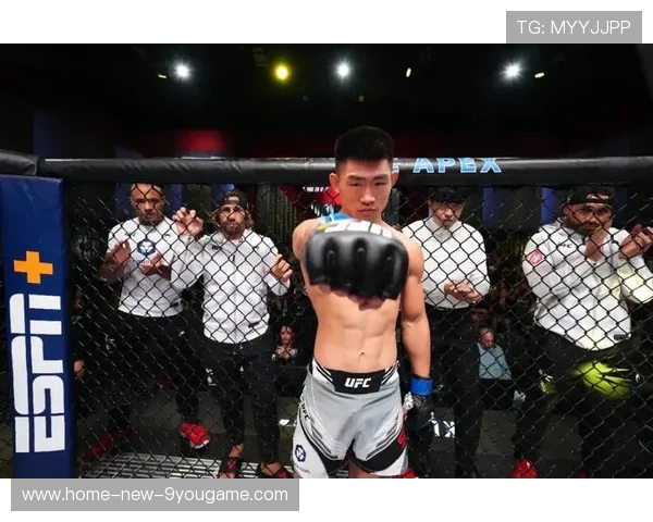 UFC顶级对决激烈，拳手技术与毅力并存，ufcd